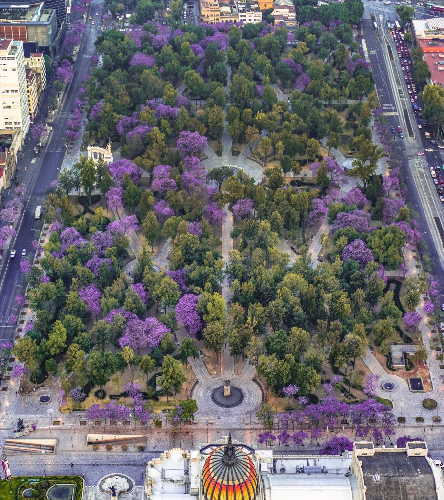 Alameda Central: Memoria, Arte y Paisaje Público