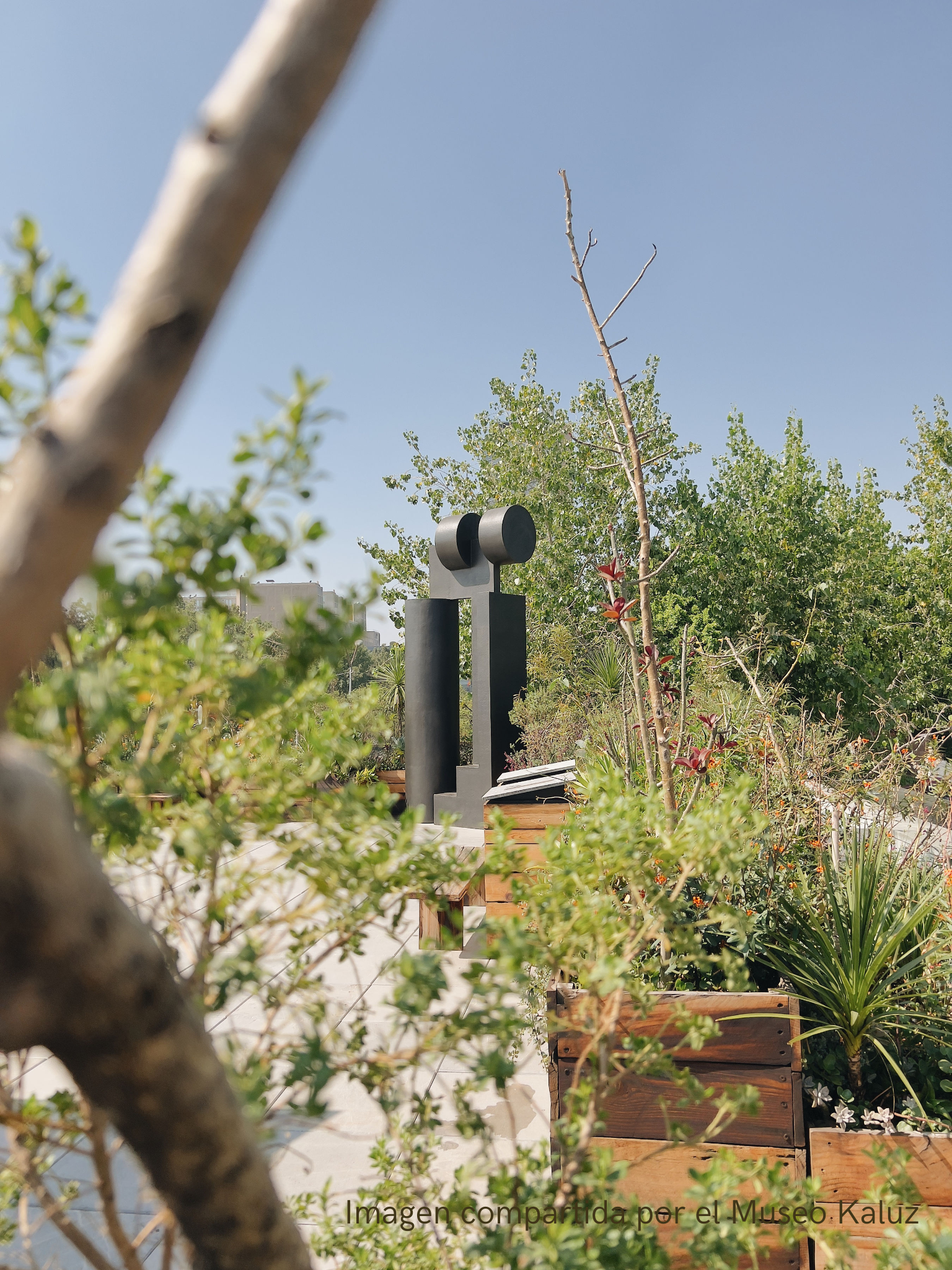 El Jardín Mirado.  Arte, botánica y paisaje urbano